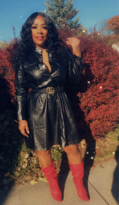 The Ish Faux Leather Dress